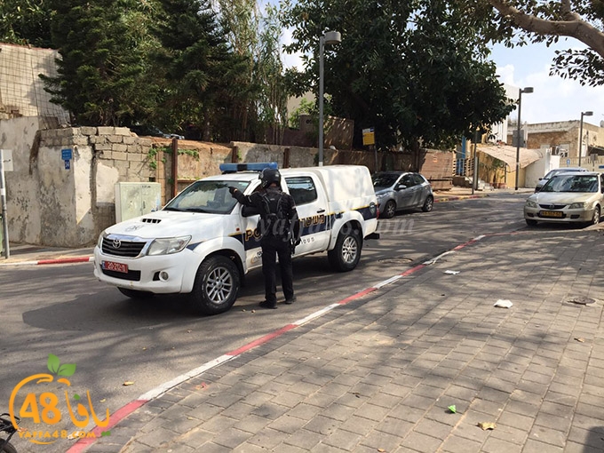 ta3n shamela (3).jpg